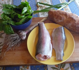 the makings of dinner