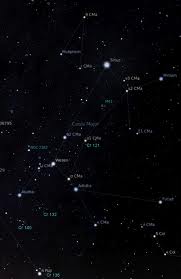 canis major