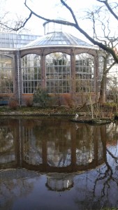 Heron at the hortus botanicus