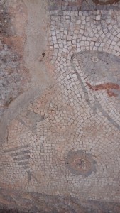 Fish mosaic  at Milreu