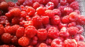 raspberries