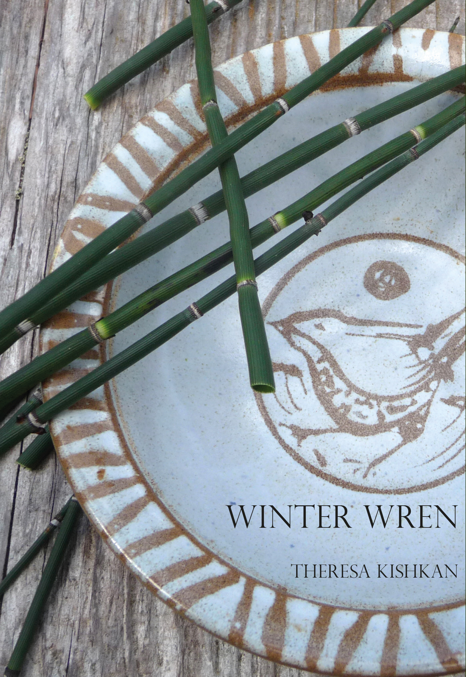 winter wren cover cropped.jpg