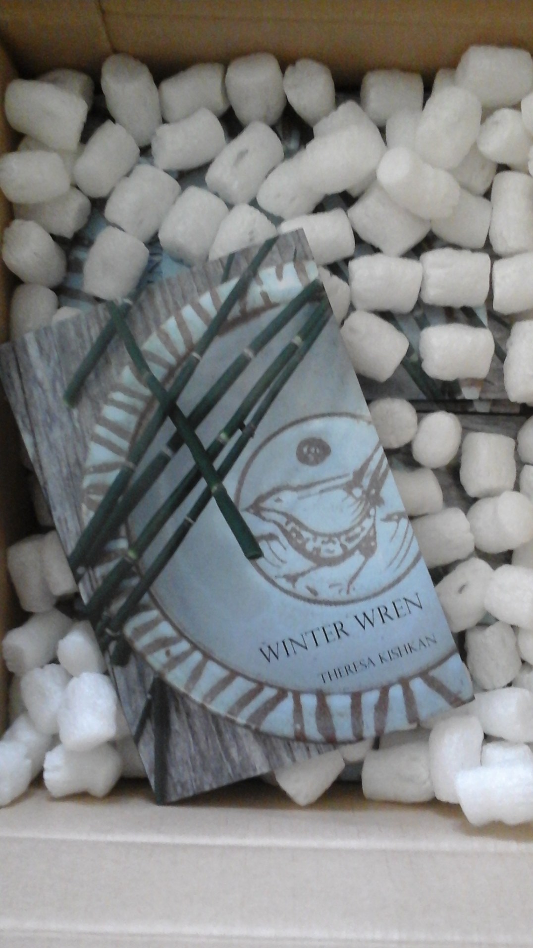 winter wren among packing peanuts.jpg