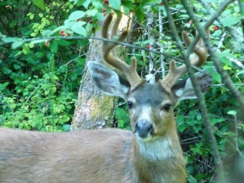 day after Solstice.jpg