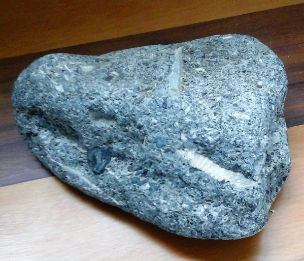 fossil