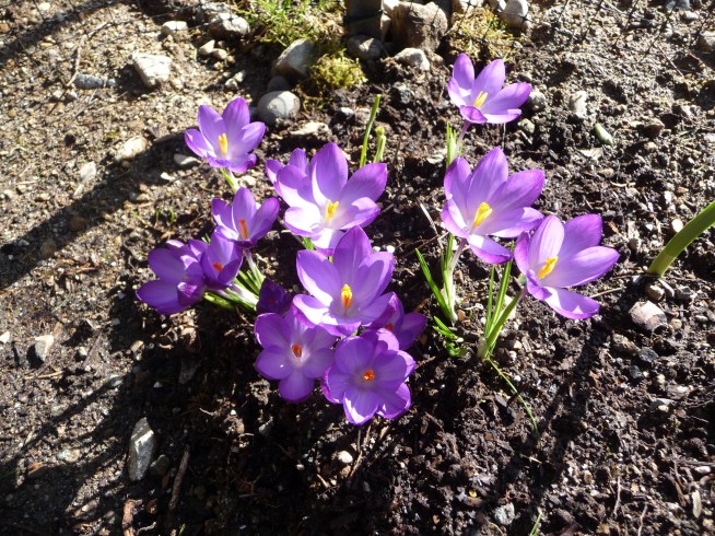 from underground.jpg