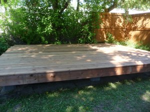 deck under maple