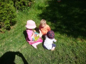 weed thrive in sunlight