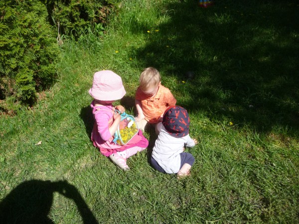 weed thrive in sunlight