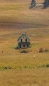 lawless house, anarchist mountain