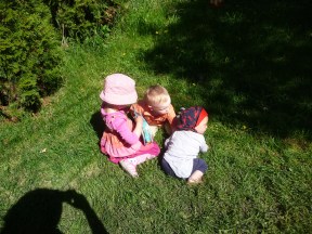weeds and grandma's shadow.JPG