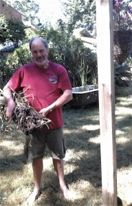 john and metechi garlic