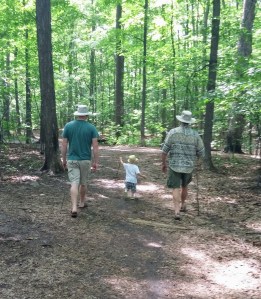 walking, with sticks