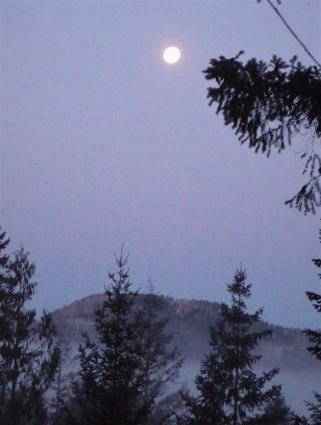 morning, looking west