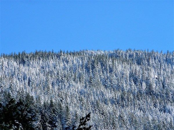 mountain, november 3