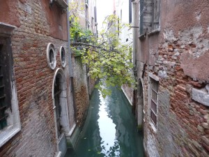 the beautiful waters of venice