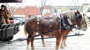 sugar and spice on whyte avenue