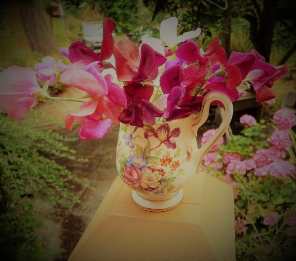 sweet peas in small jug