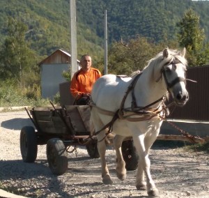 IMG_20190916_102630903-1