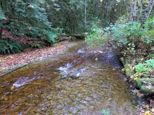 anderson creek