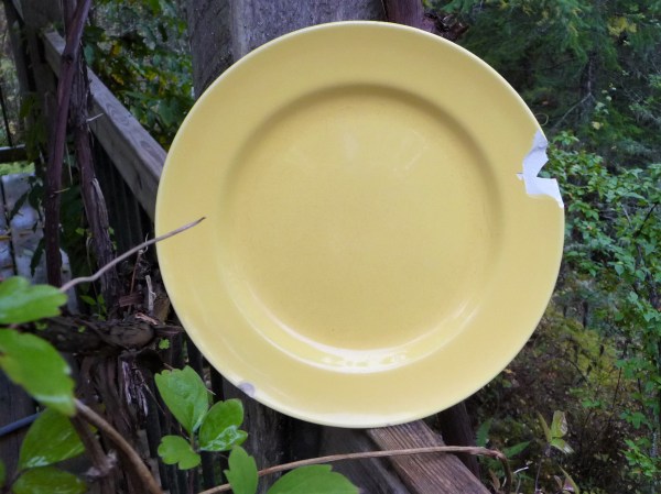 yellow plate