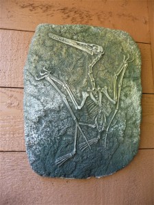 archaeopteryx