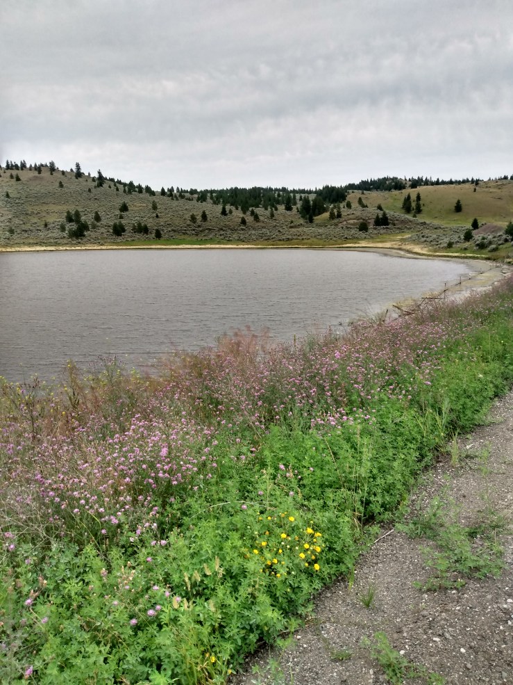 IMG_20200811_151530607_HDR