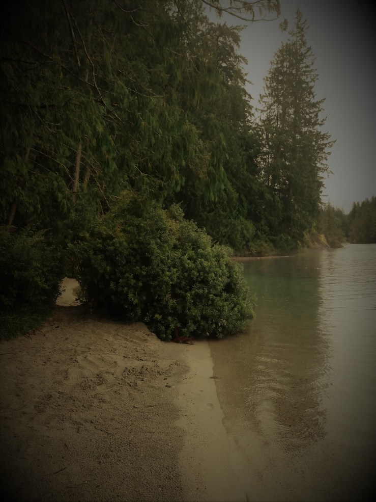 swimming in the rain