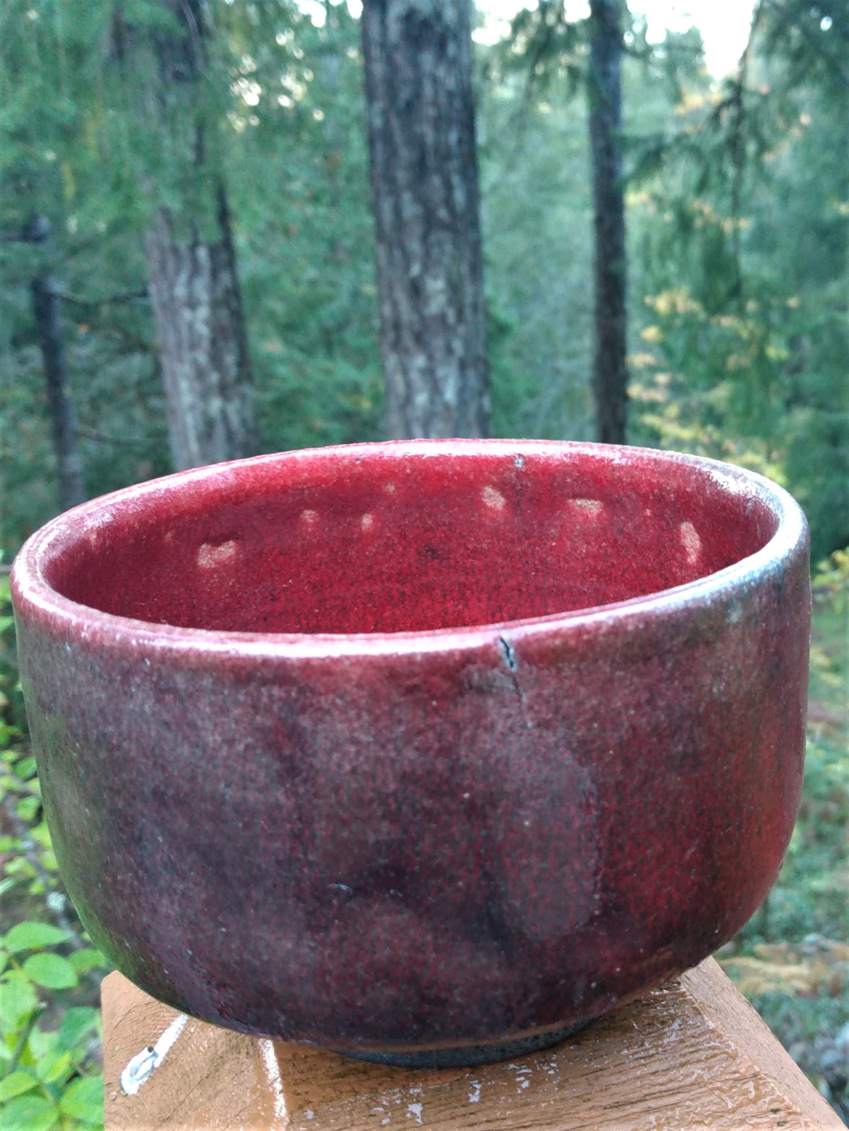 wayne's bowl
