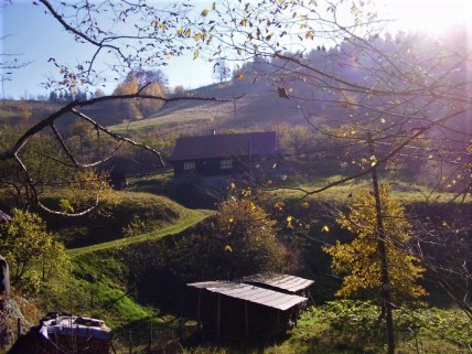 10.house in its place