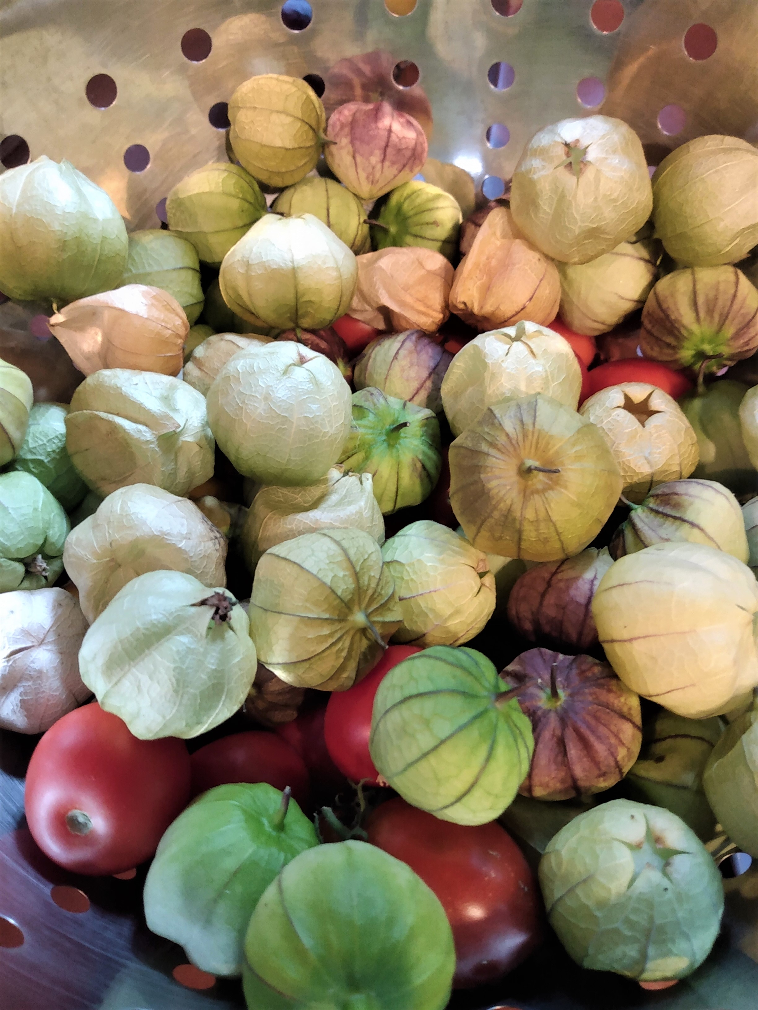 tomatillos