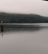 mist on the inlet