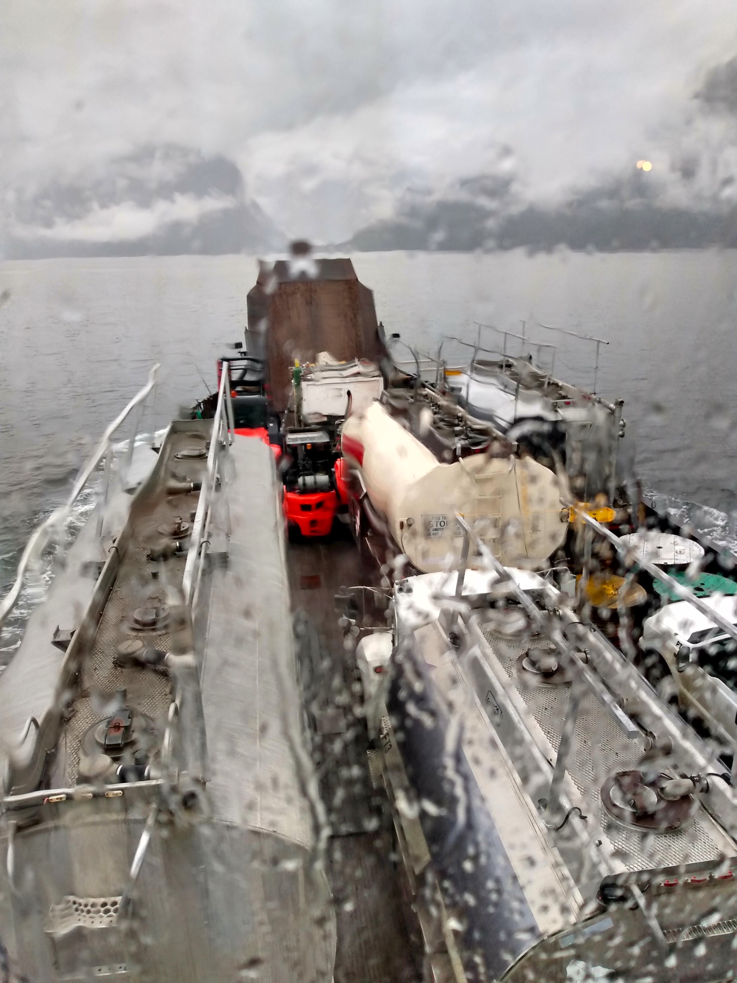 watercolour, chinook smolts