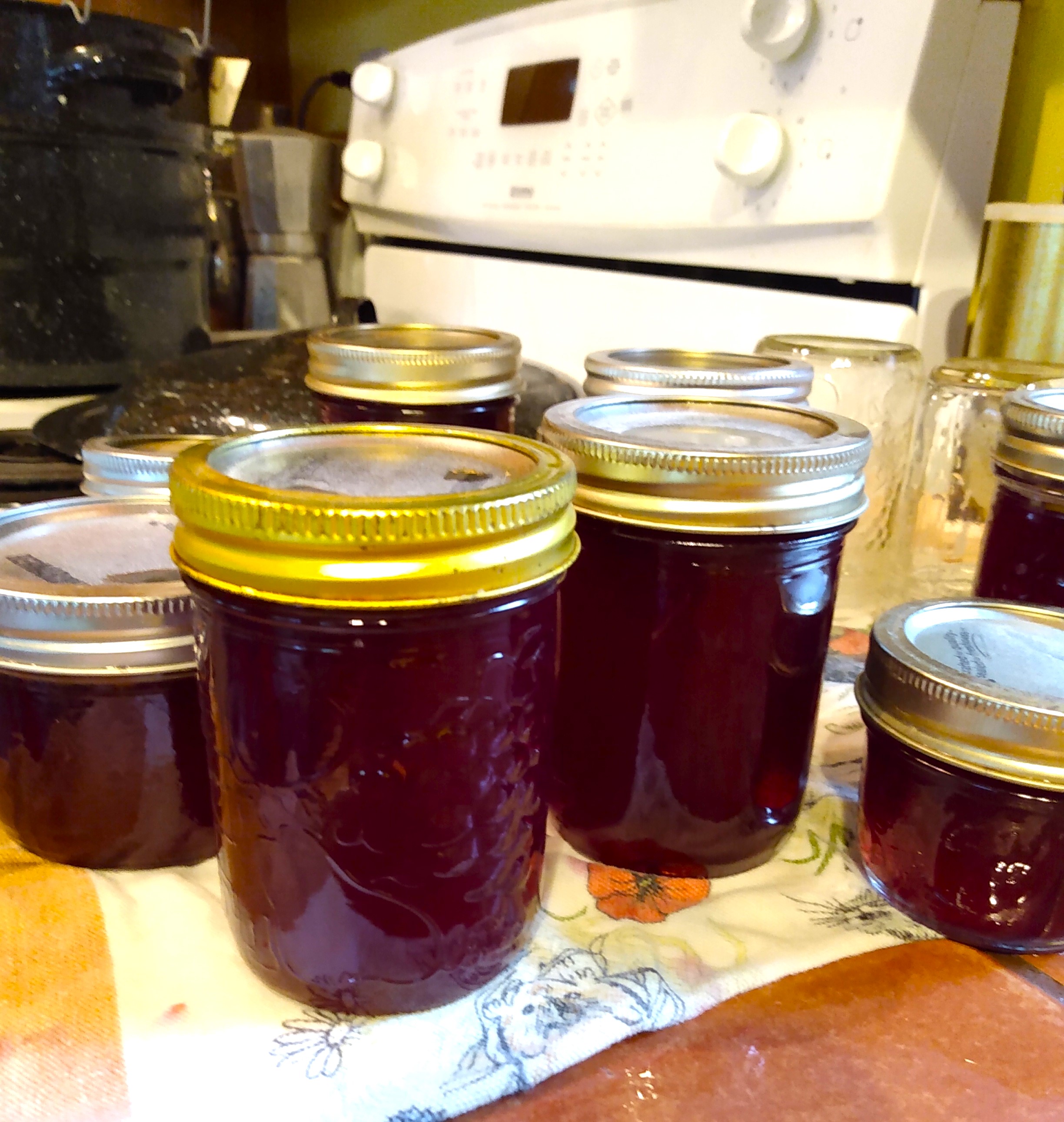 wine grape jelly