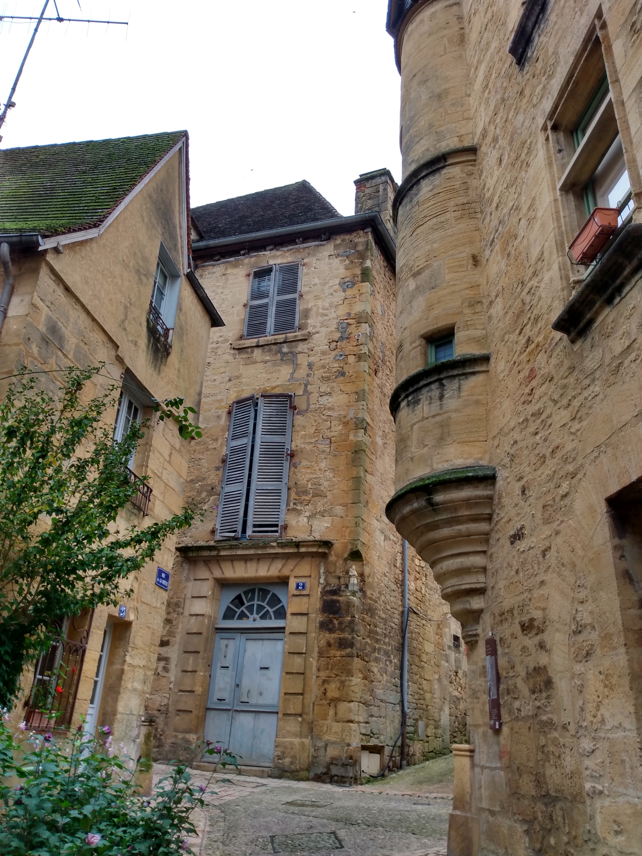 IMG_20241022_022223188_HDR