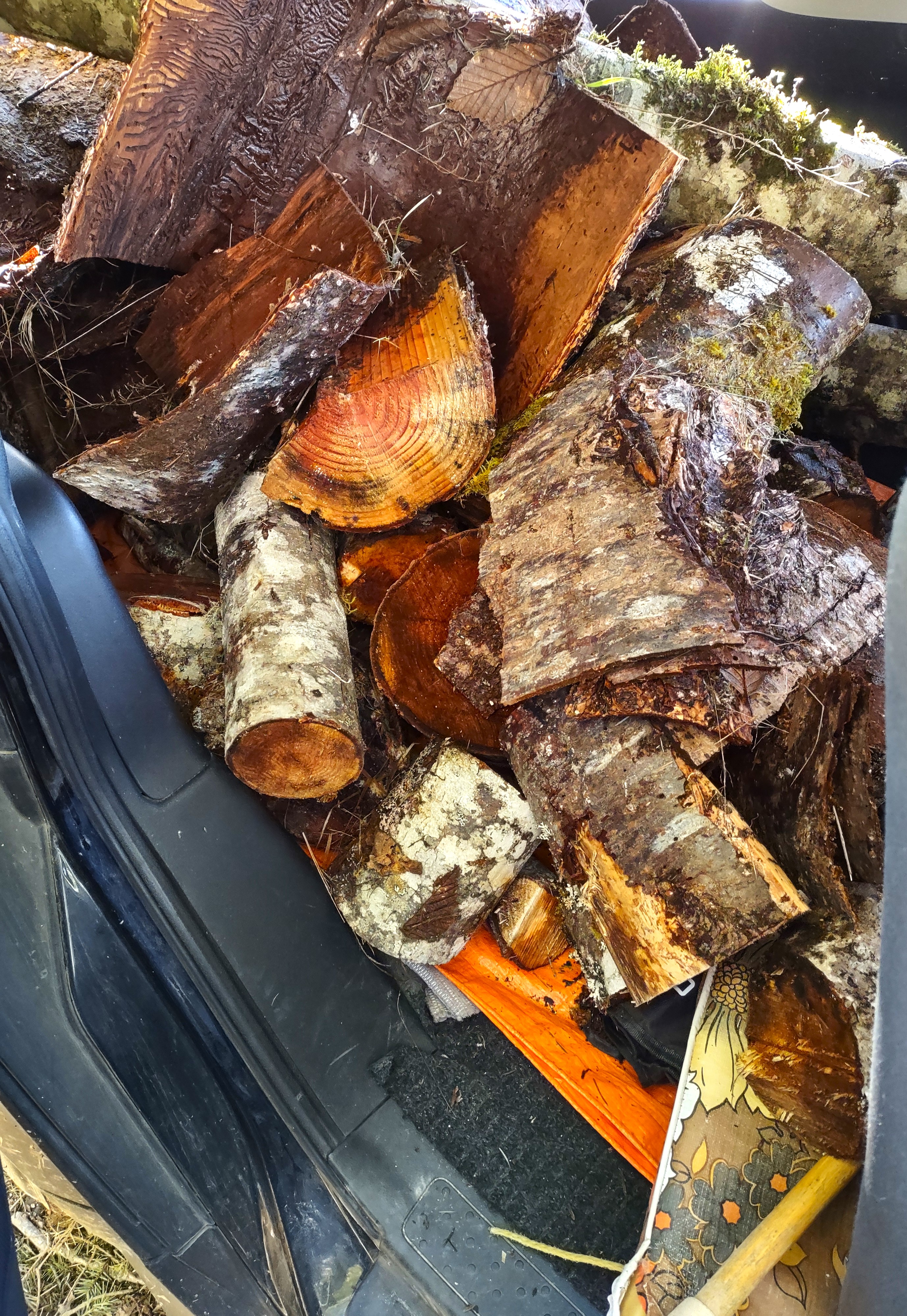 firewood in Element 2