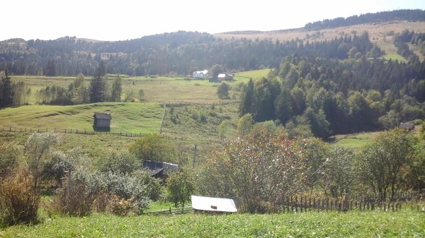 from-the-hutsul-wedding